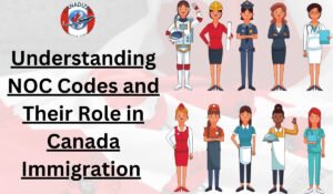 NOC codes and their roles